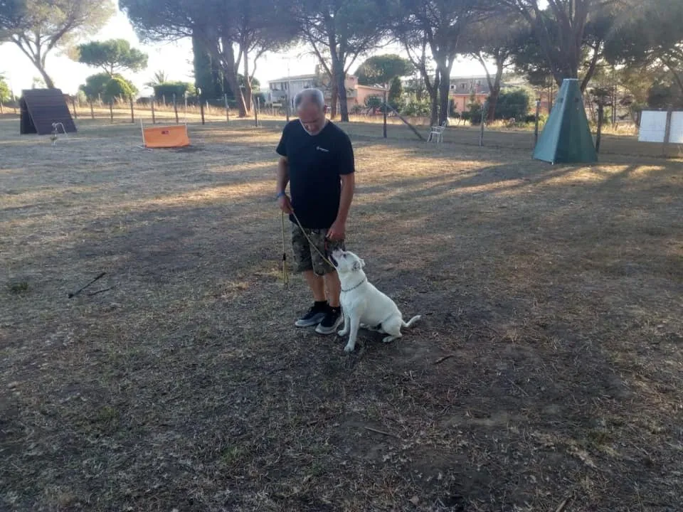addestratore con cucciolo